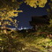 夜の清水寺