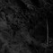 no_title (2011_07_15)