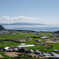 夏の棚田