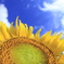 bIMG_11-08-24_042