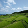 油谷東後畑