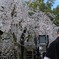 後ろから失礼します