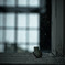 あの日を。。。