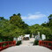 真夏の八幡宮