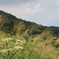 伊吹山