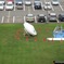 antenna012
