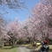 桜坂