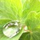 雨雫