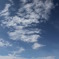 2011_07_09_8550