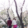 春
