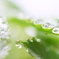 Drops