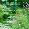モネの庭～マルモッタン～　水の庭
