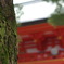 氷川神社②