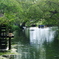 川遊び