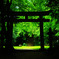 Green space - 癒しの空間 -