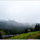 DSC02401