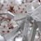 おみくじと桜