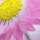 2008-04-26_0340