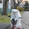 とってもブルー