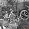 20100425_ContryGarden