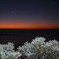 CIMG0568