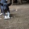 背のび