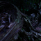 Roots 02