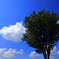 夏空