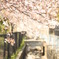 入学式には間に合わせるから！