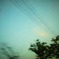 RIMG0219