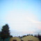 RIMG0225