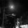 夜の太陽