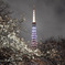 SAKURA TOWER