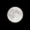 moonlight