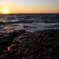 no_title(2011_09_06)