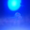 月夜に踊る　♯２