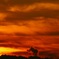 DSCF6276