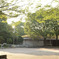park morning