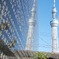 東京SkyTwinTree