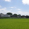 田舎