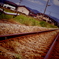トイカメラ風②