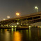 UJINA BRIDGE