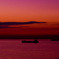 Twilight race