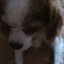 photo_1382830
