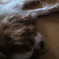 photo_1382831
