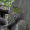根津美術館　庭園