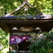 鎌倉　ふらり　　～円覚寺　参　黄梅院　秋のあじさい～