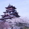 桜と天守