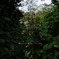 P1000553