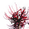 A certain flower038